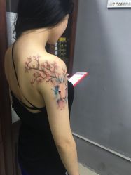 -焰针刺青纹身.手工穿孔饰品·中国刺青名店