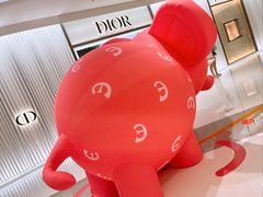 -Dior迪奥(海信广场店)