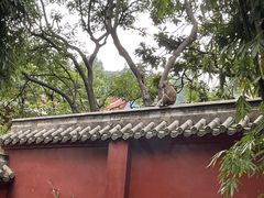 -黔灵山公园