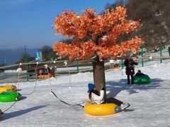 -太子岭滑雪场