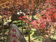 -广州市帽峰山景区