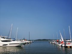 -日照世帆赛基地