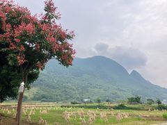 -万峰林风景区