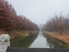 -溱湖国家湿地公园