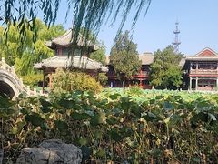 -莲池书院博物馆