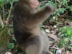-西岭雪山大飞水景区