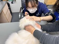 -爱侣宠医·鹦鹉专科·小型哺乳类·异宠专科(灵石路店)