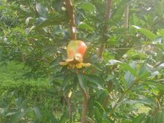 -防灾科技学院(南校区)