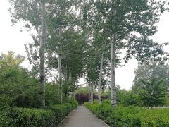 -济南植物园