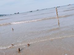 -渔寮风景区