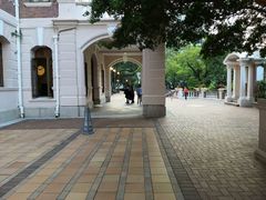 -香港大学