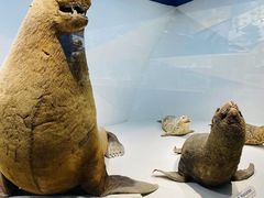 -青岛海底世界-水族馆
