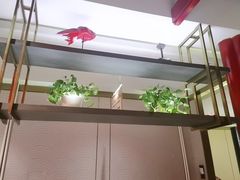 -大鸭梨烤鸭·北京菜(南小街/南苑店)