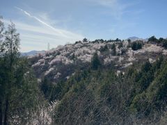 -白水寺森林公园