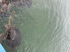 -硇洲岛旅游区