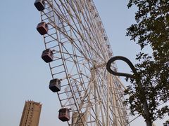 -弘阳·未来世界(弘阳广场店)