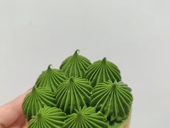 -猫里有甜