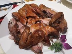 凯鸽风沙鸡-凯鸽酒楼(大同振兴街店)