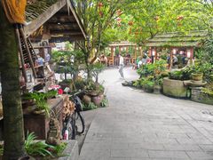 -青城甲(青城山店)