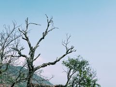 -抚仙湖禄充风景区