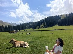 -新疆那拉提国家旅游度假区