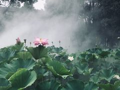 -四川大学(望江校区)