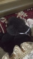 -杉惠素颜美妆皮肤管理中心