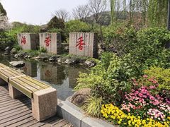 -香雪海