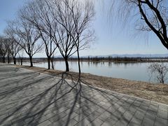 -野鸭湖国家湿地公园