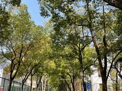 -中南财经政法大学(首义校区)