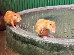 -杭州野生动物世界