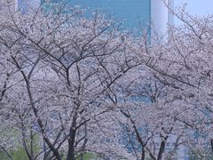 -西北湖绿化广场