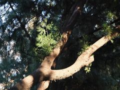 -山东大学(趵突泉校区)