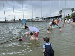 -碧海金沙