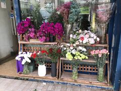 -亭亭鲜花店(中山北路店)