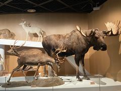 -陕西自然博物馆