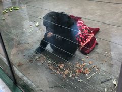 -新疆天山野生动物园