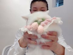 -怪兽屋·羊驼·猫咖·狗咖(俊华广场店)