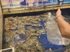 -高佳庄·舟山海鲜(海景旗舰店)