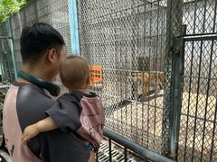 -西安秦岭野生动物园