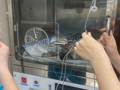 -美联众合动物医院·24h京西诊疗中心