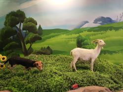 -酷嗒动物文化乐园(cutezoo西溪乐天城店)