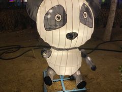 -南宫五洲植物乐园