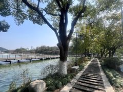 -月湖风景区