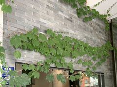 -溪畔•新徽菜(碧湖云溪店)