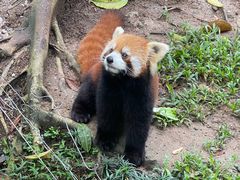 -深圳野生动物园