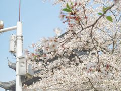 -苏州上方山国家森林公园