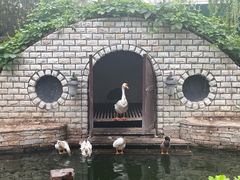 -南宫五洲植物乐园