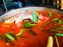 江团鱼-苗家恒灵酸汤鱼-跳水牛肉连锁店(凯里总店)