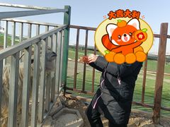 -北京鹿世界主题园